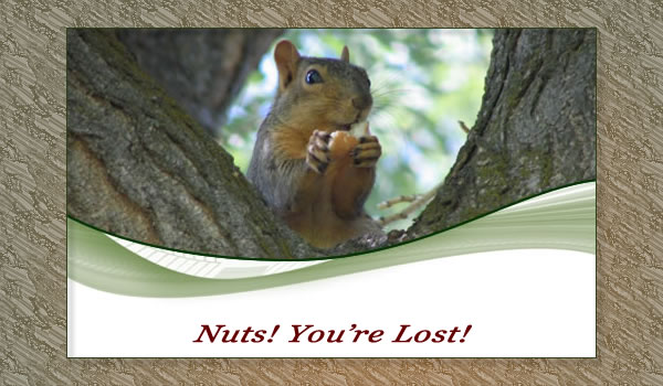 Nuts - You're Lost!